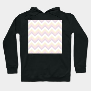 Pastel Lines Hoodie